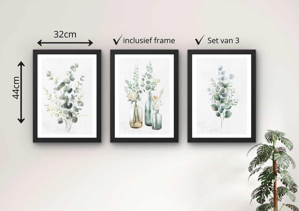 Botanische wanddecoratie set eucalyptus (3 lijsten)