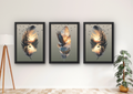 veren wanddecoratie set adelaar met drie lijsten