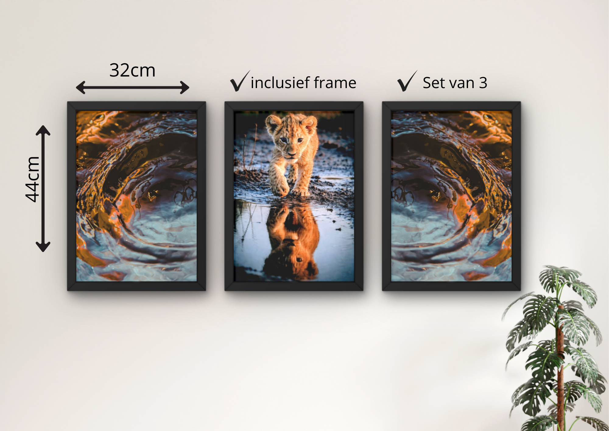 leeuw welp poster met water reflectie